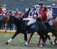 Horseball Rules and Background with Sports 1 Link