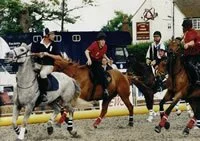 British Horseball with Sports 1 Link