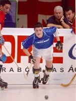 The National Roller Hockey Association through Sports 1 Link.